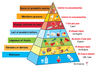 Pyramide des aliments - Bilan de sante CIEM
